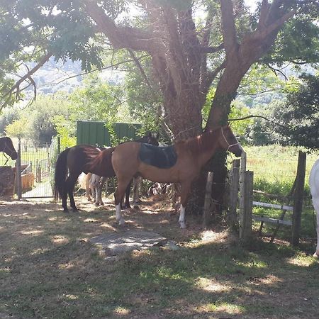 Apartamento Rural Zuri Cotorrio Εξωτερικό φωτογραφία
