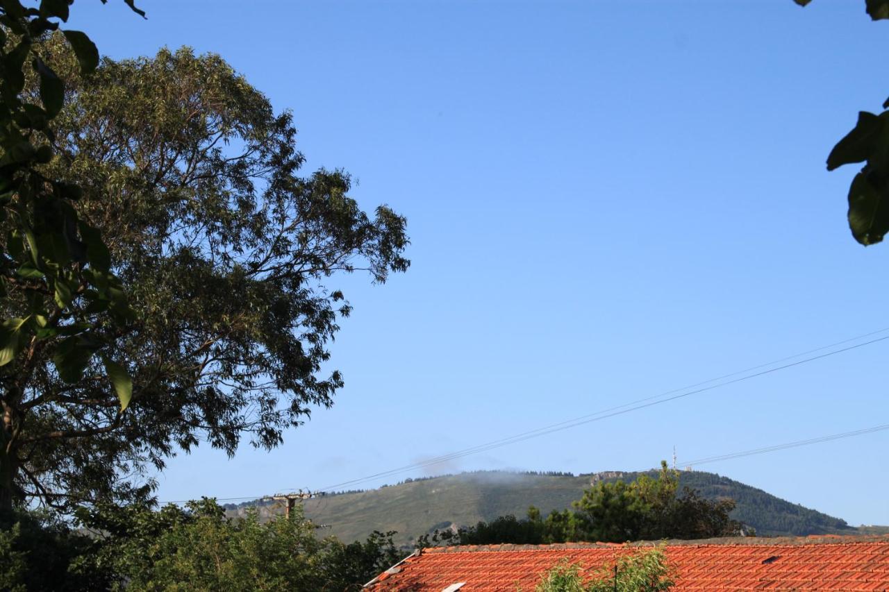Apartamento Rural Zuri Cotorrio Εξωτερικό φωτογραφία