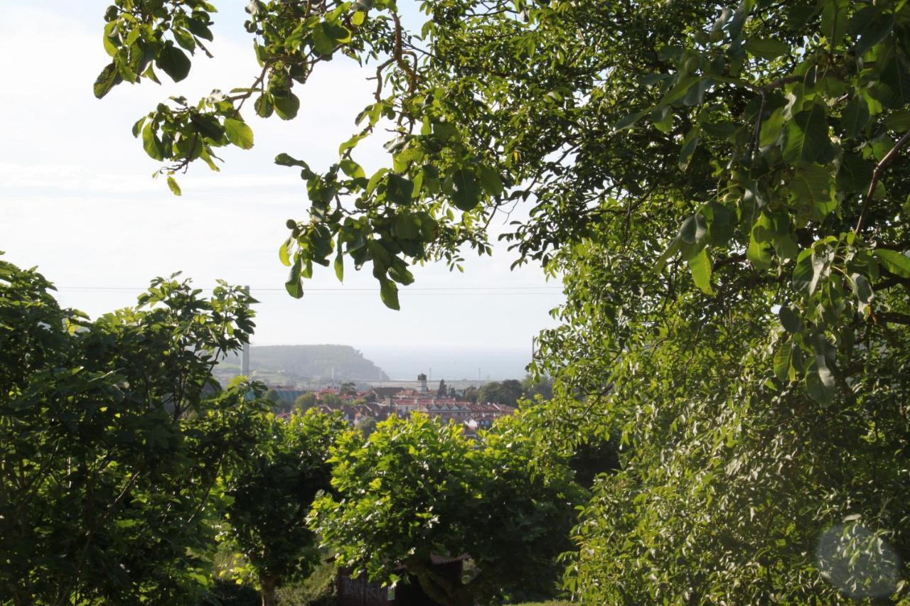 Apartamento Rural Zuri Cotorrio Εξωτερικό φωτογραφία