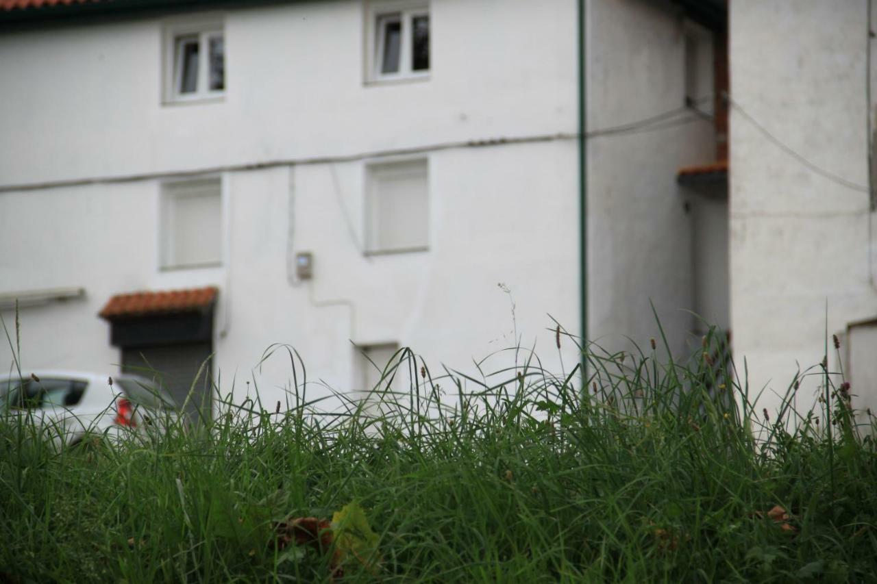 Apartamento Rural Zuri Cotorrio Εξωτερικό φωτογραφία
